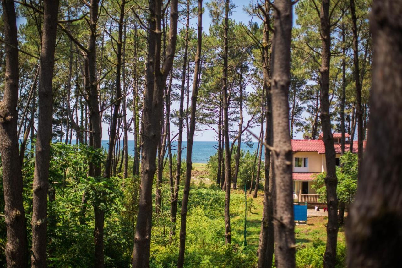 Ef Palace Shekvetili Hotell Exteriör bild